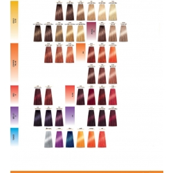 CHANTAL PROSALON FARBA DO WŁOSóW COLOR ART 100ML  KOLOR DO WYBORU